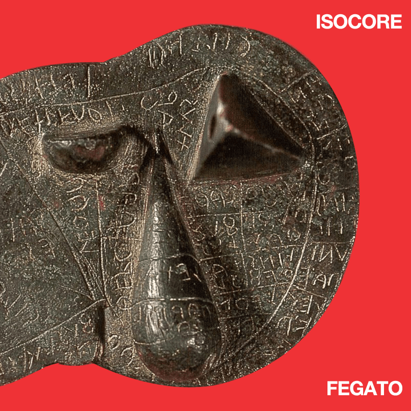 Fegato