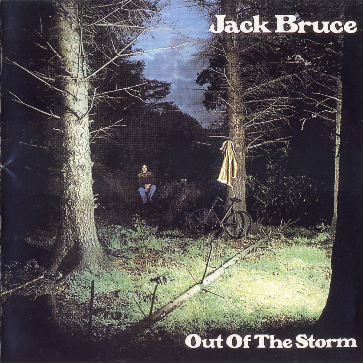 Out of the Storm