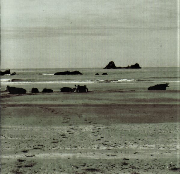 Alvarius B.