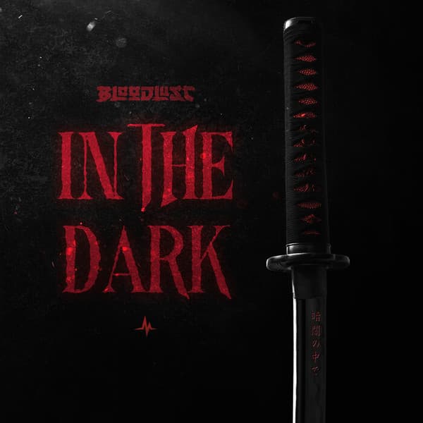 In The Dark