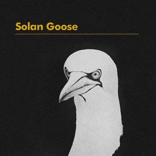 Solan Goose (Radio Edit)