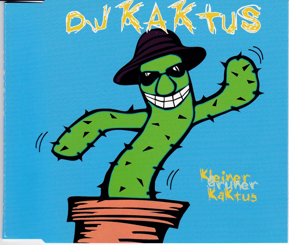 Kleiner grüner Kaktus