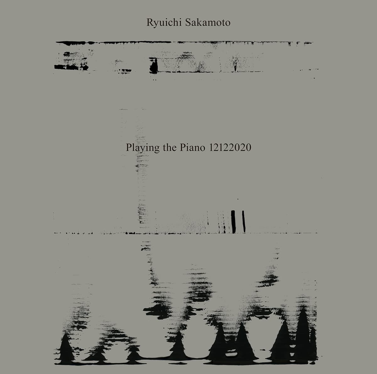 Playing The Piano 12122020