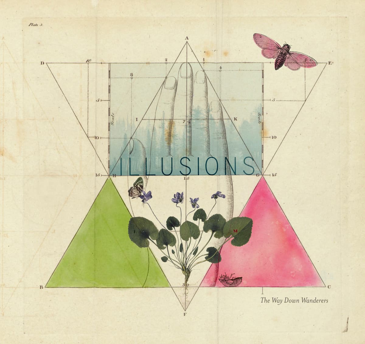 Illusions
