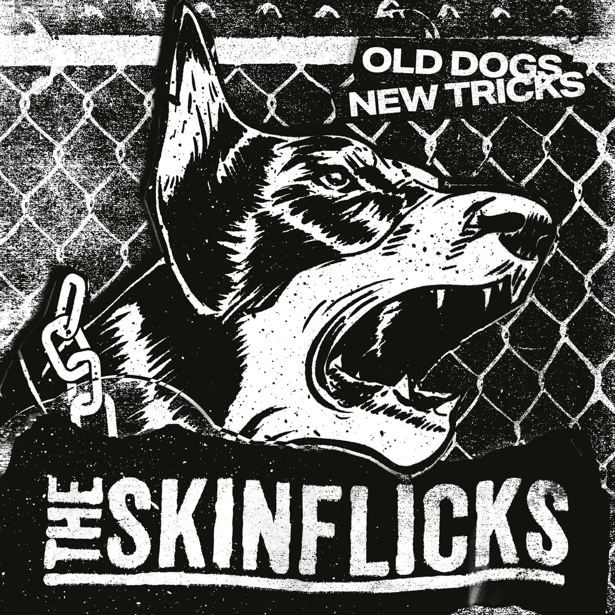 Old Dogs, New Tricks