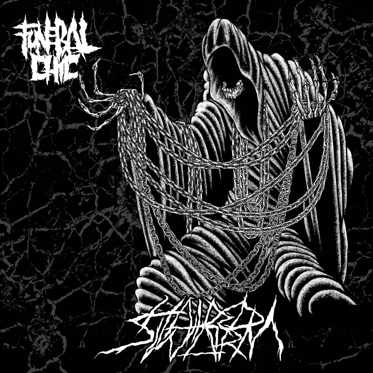 Hatred Swarm