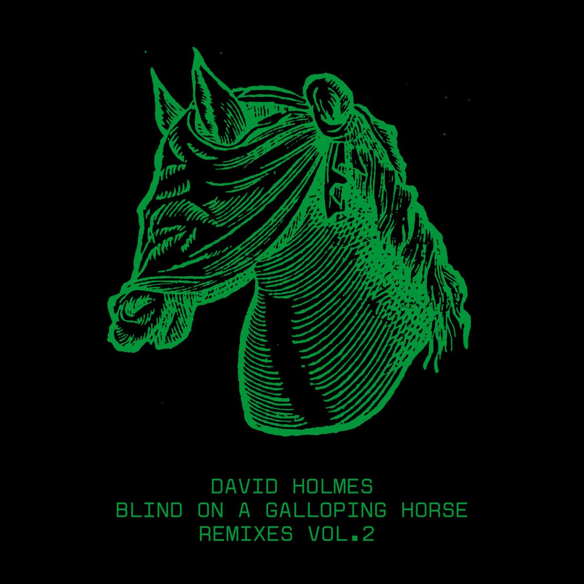 Blind on a Galloping Horse Remixes Vol. 2