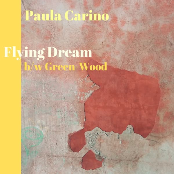 Flying Dream