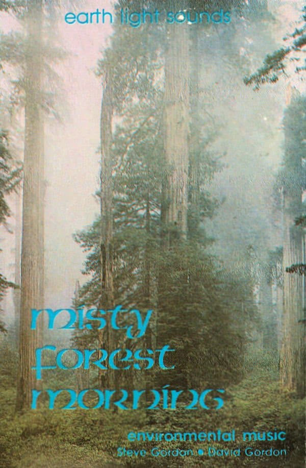 Misty Forest Morning