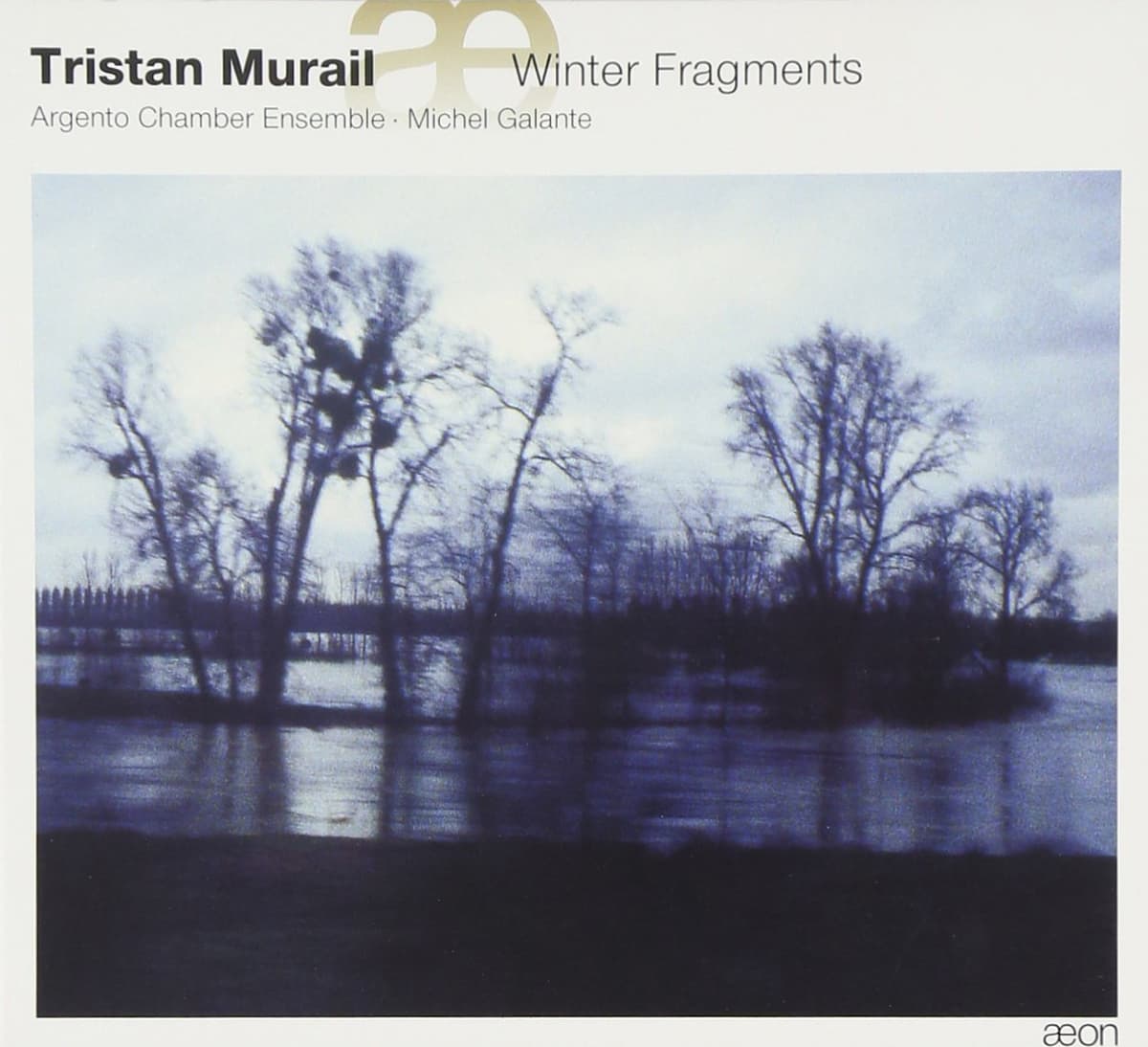 Winter Fragments