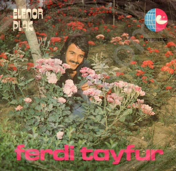 Akşam Güneşi / Çiçekler Açsın