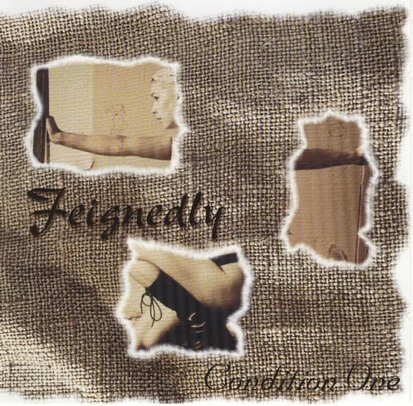 Feignedly