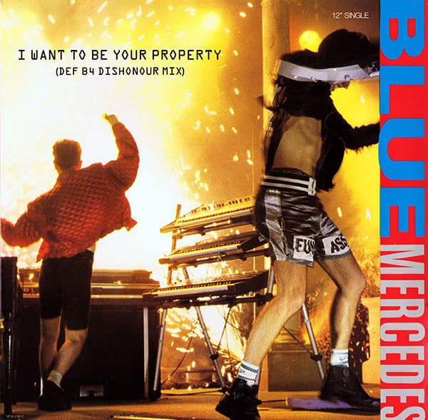 I Want to Be Your Property