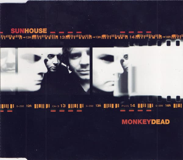 Monkey Dead