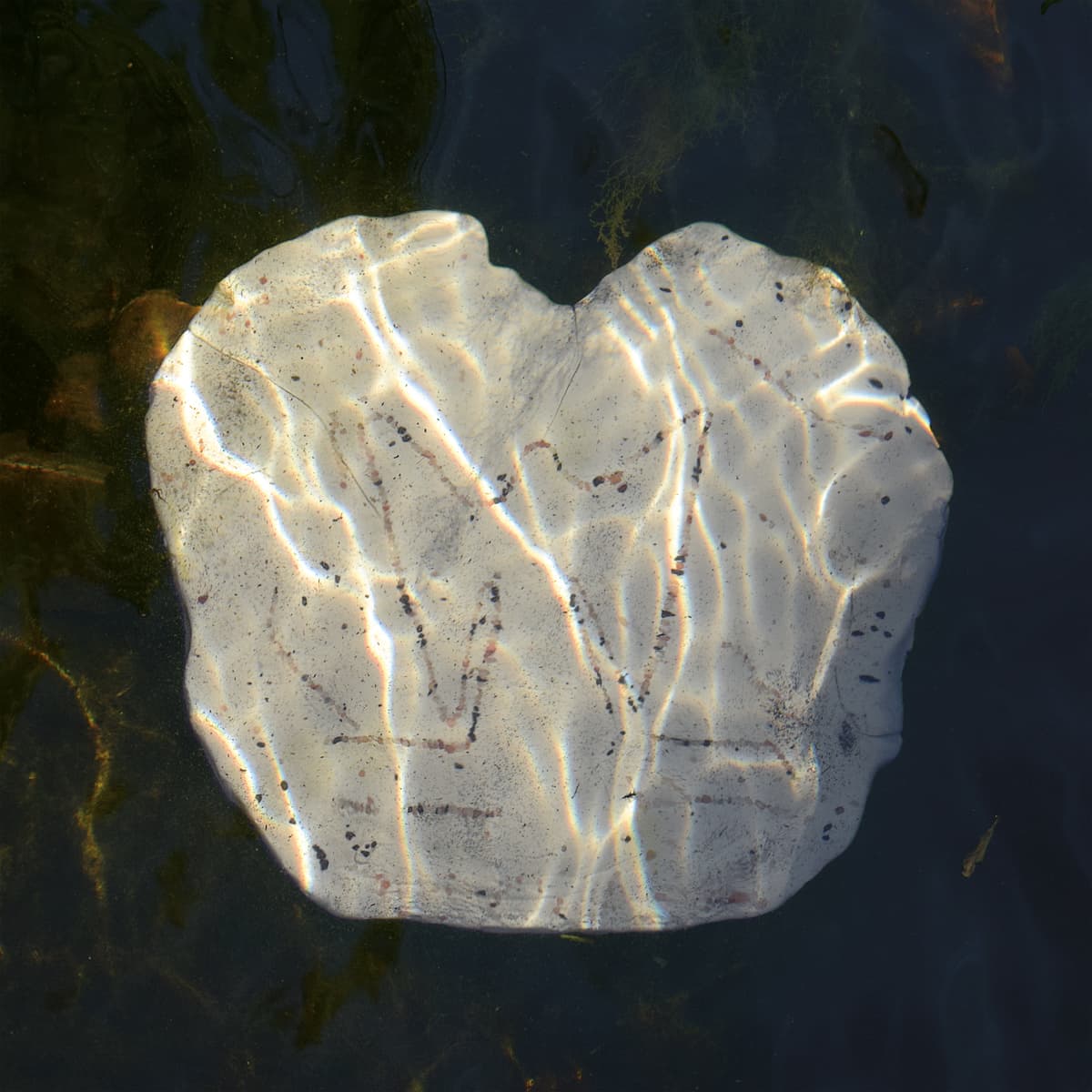 L'eau et les rêves