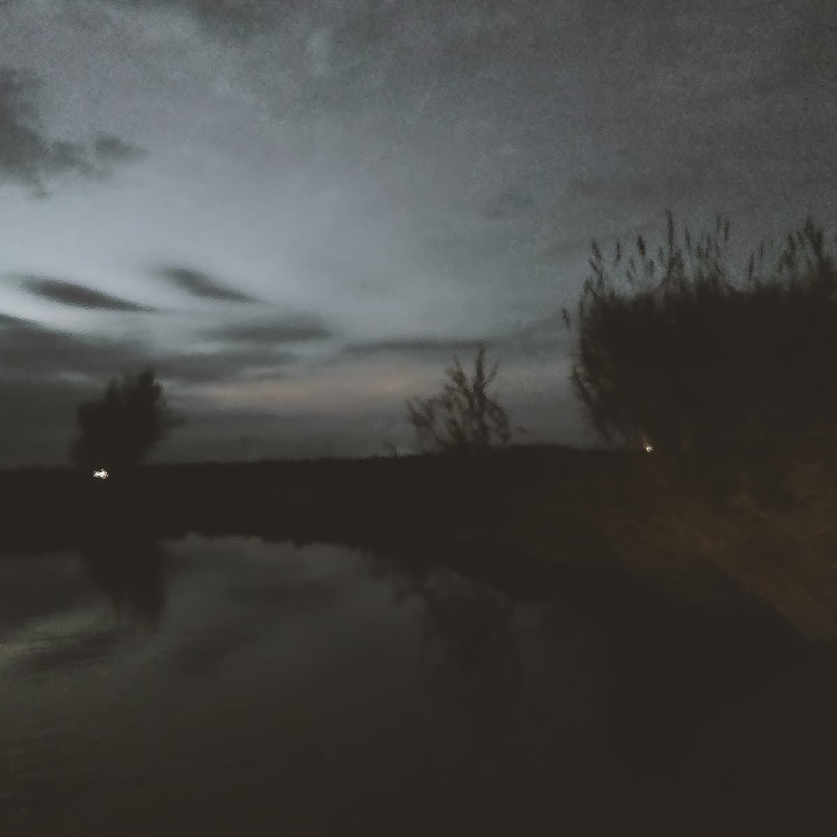 Echoes of a Fading Existence