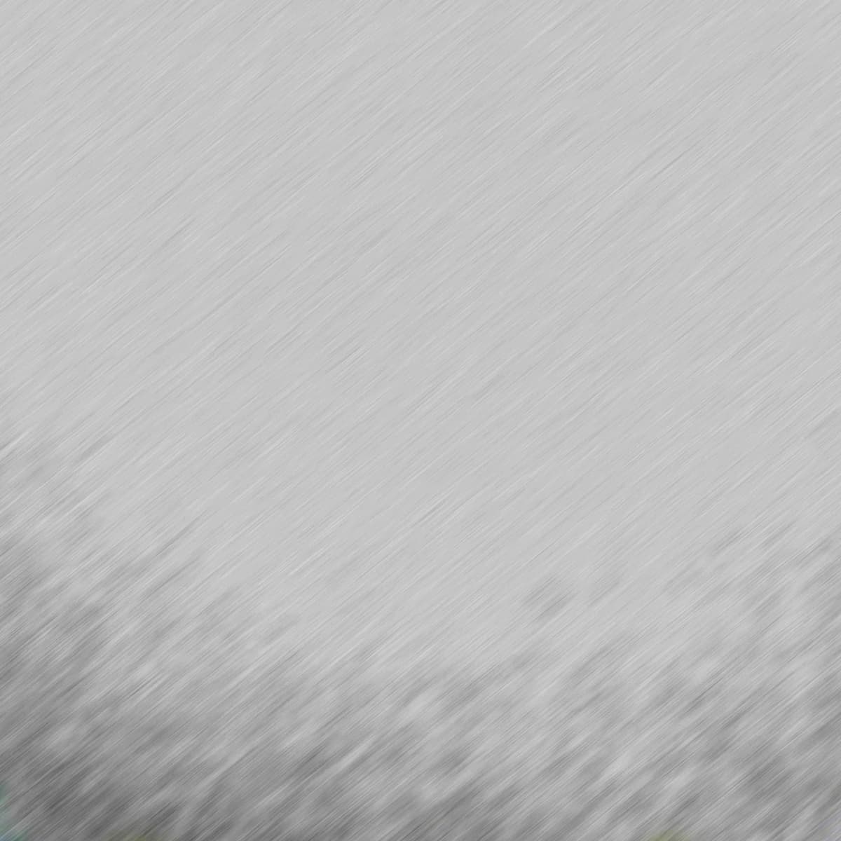 Polysom