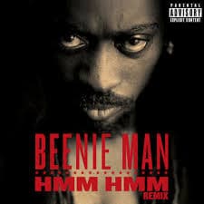 Hmm Hmm (Remix)