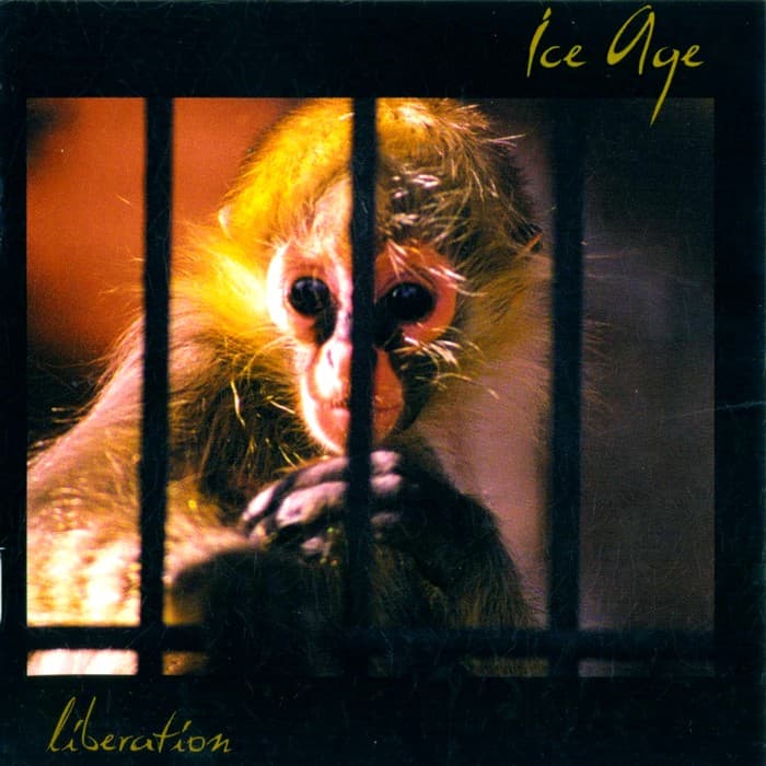 Liberation