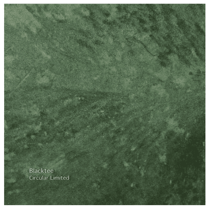 Circular 03