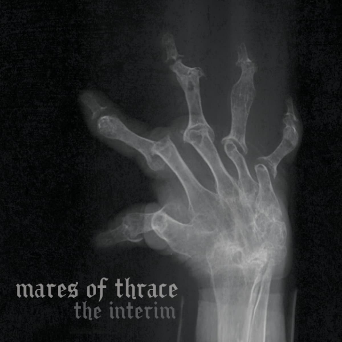 The Interim