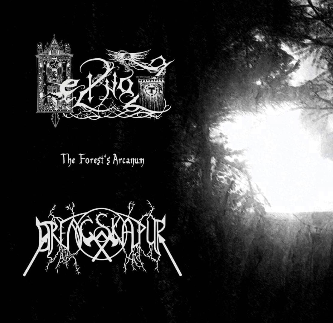 The Forest's Arcanum