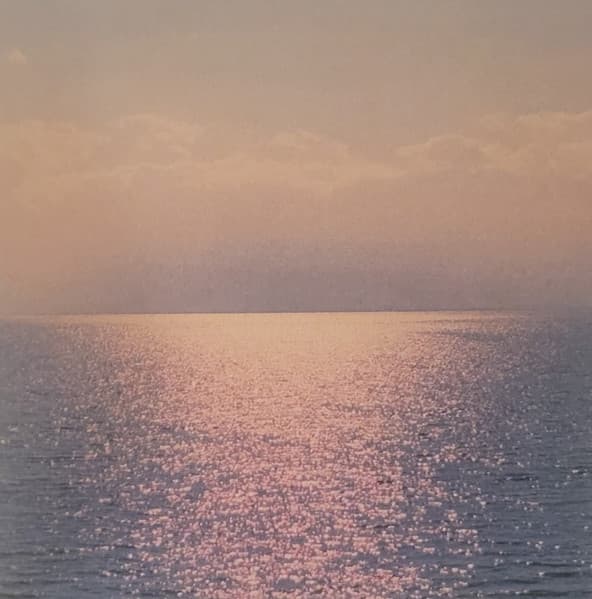Moon Tide Collection