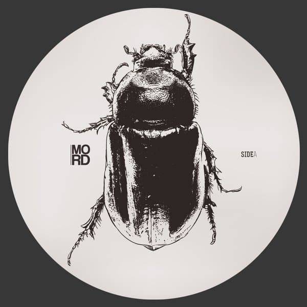 Anomalies EP