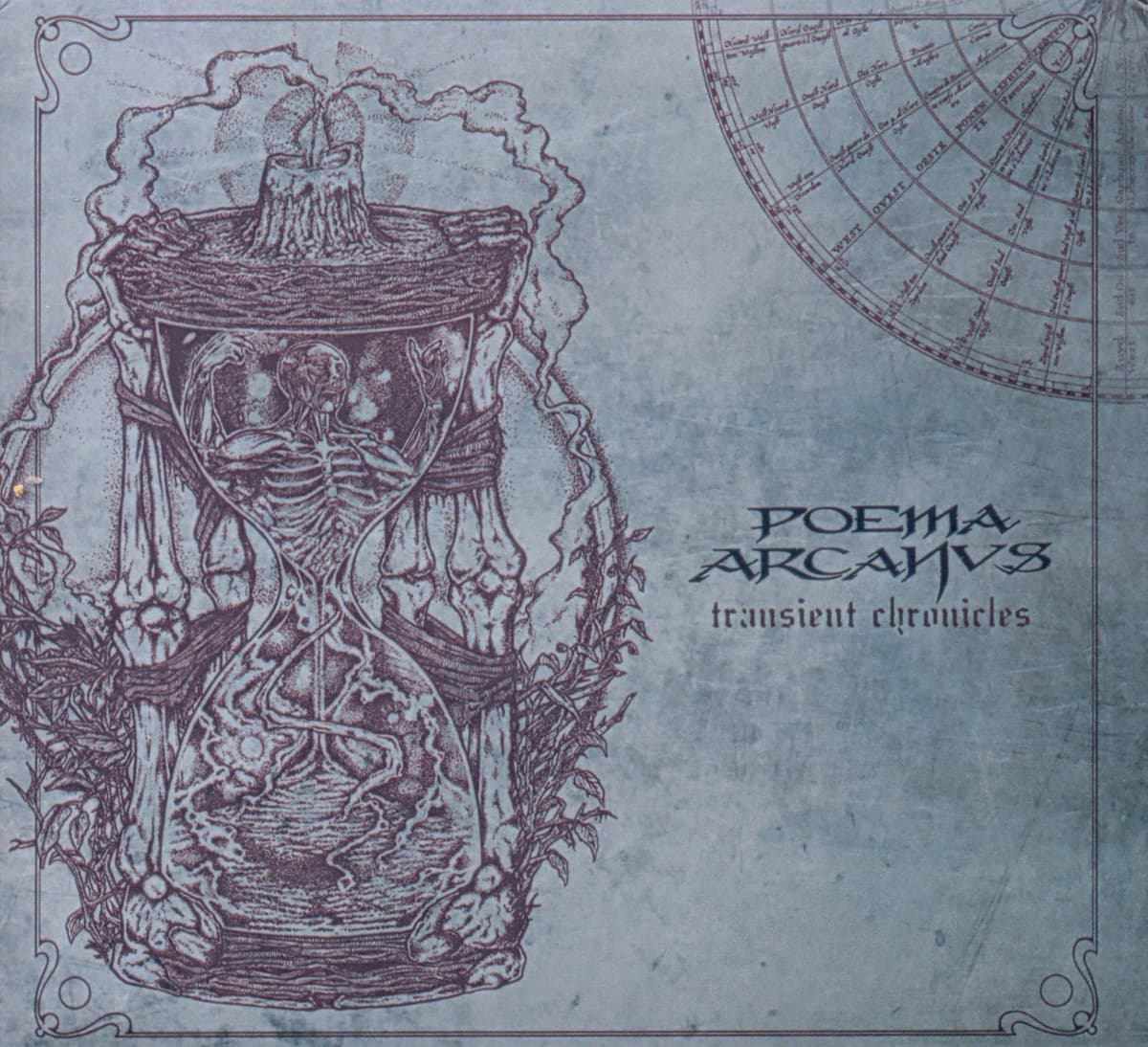 Transient Chronicles