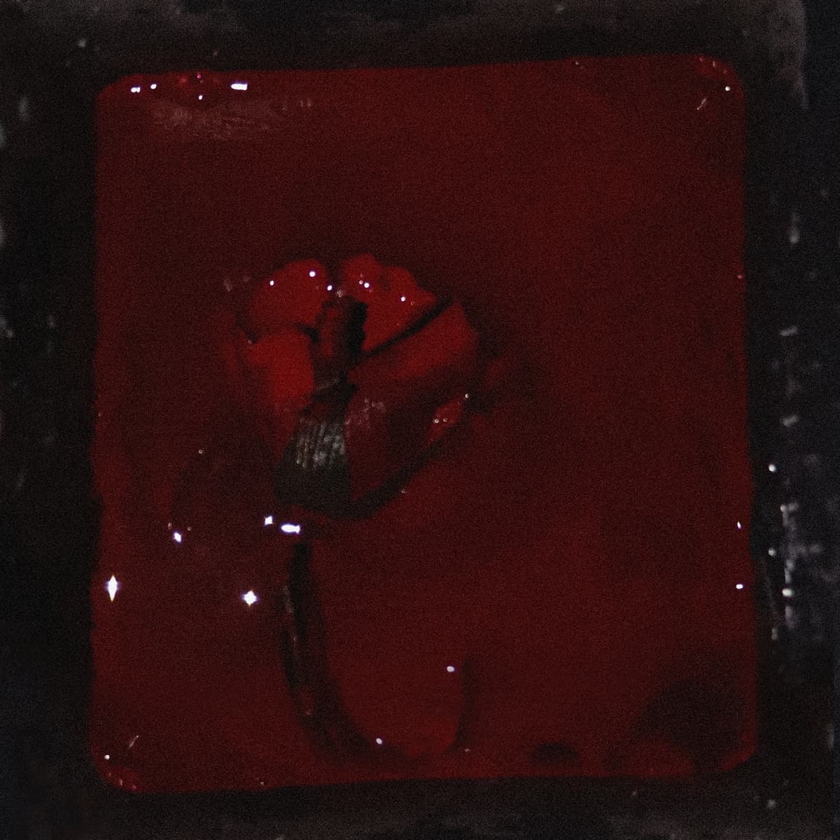 Velvet Room