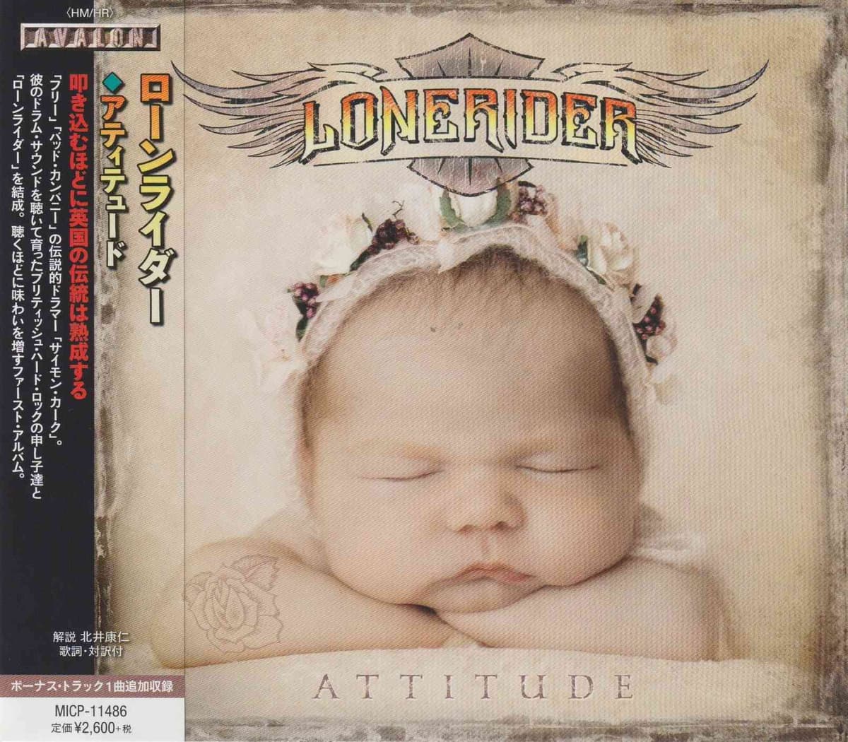 Attitude