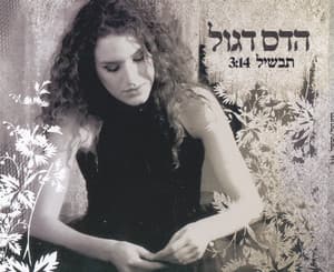 תבשיל