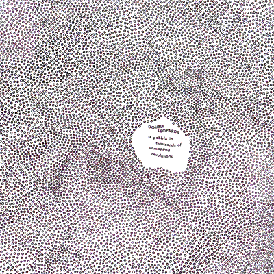 A Pebble in Thousands of Unmapped Revolutions