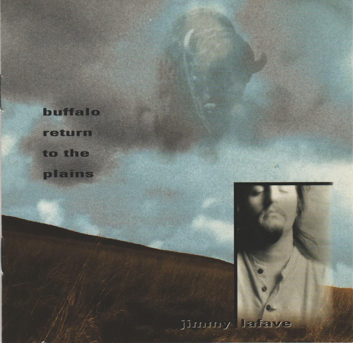 Buffalo Return to the Plains