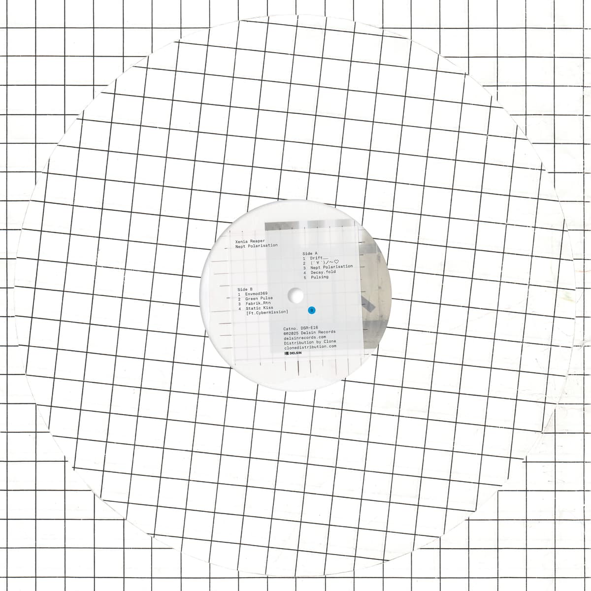 Nept Polarisation