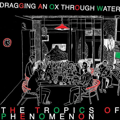 The Tropics of Phenomenon