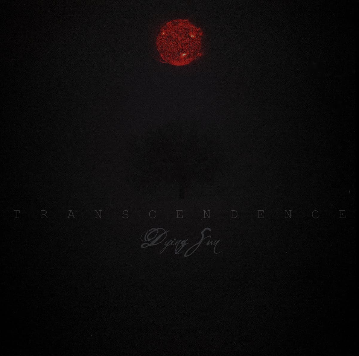 Transcendence