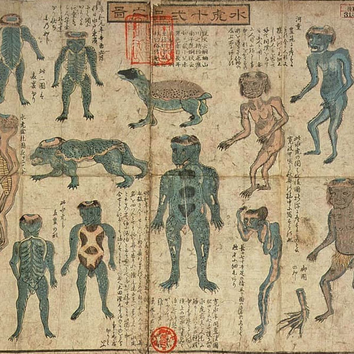 Green Kappa Phylogeny