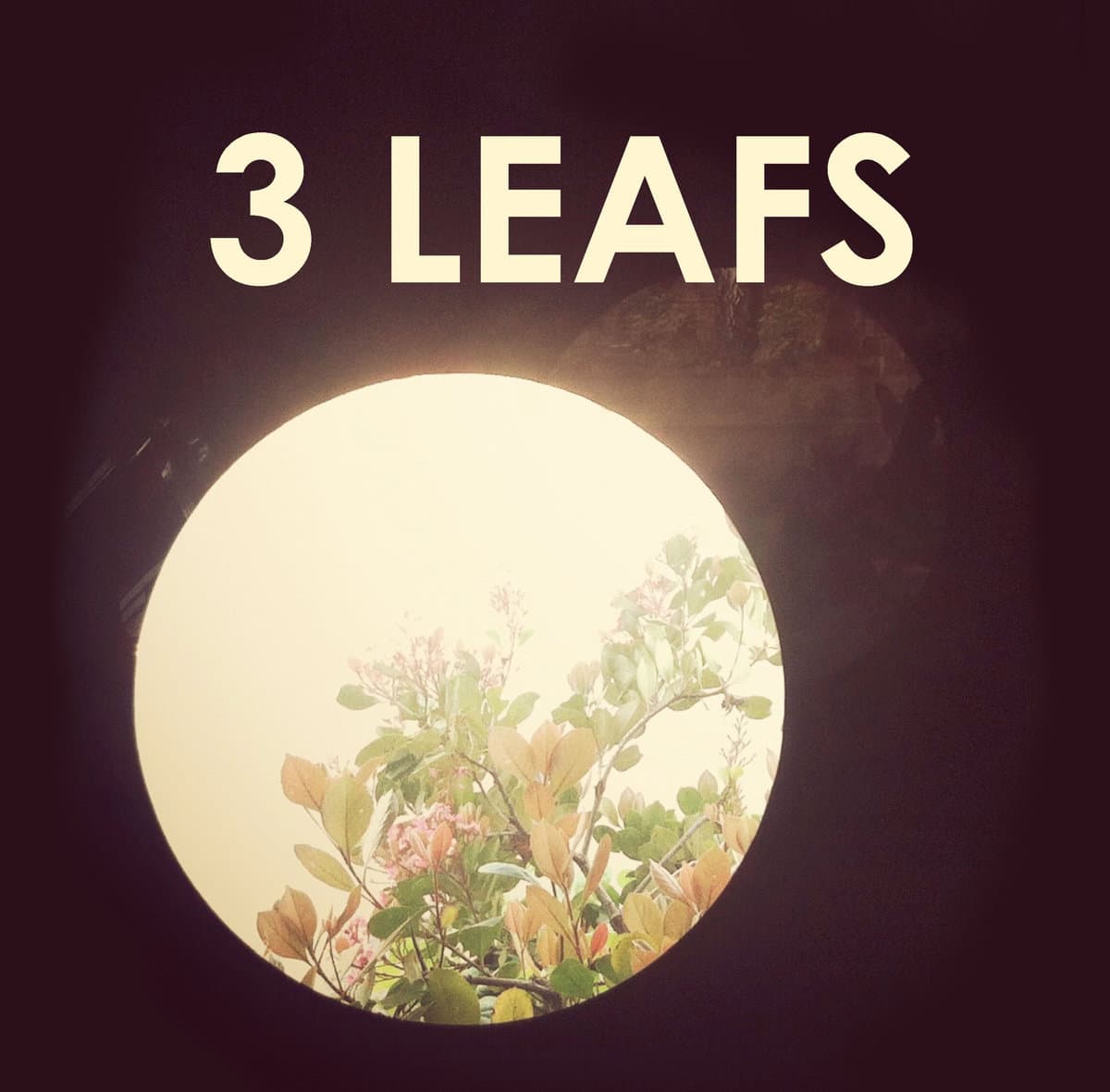 3 Leafs