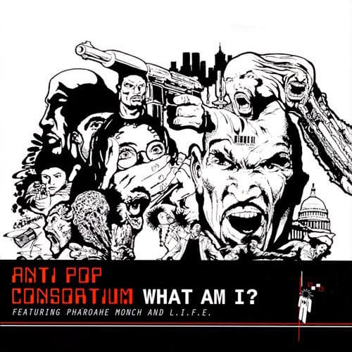 What Am I?