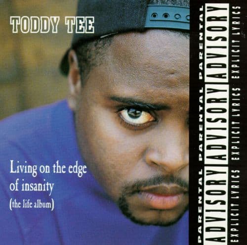 Living On The Edge Of Insanity (The Life Album)