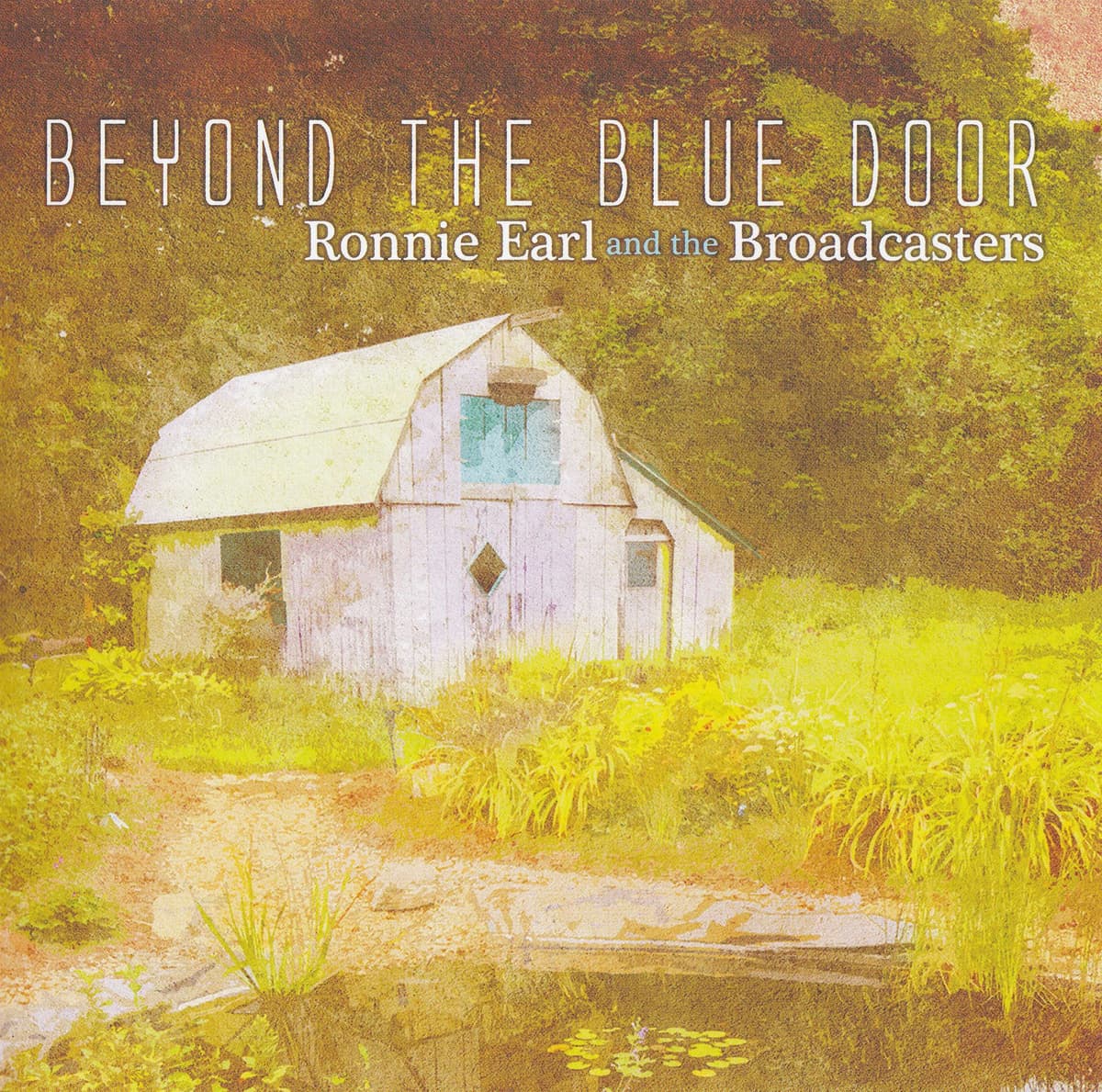 Beyond the Blue Door