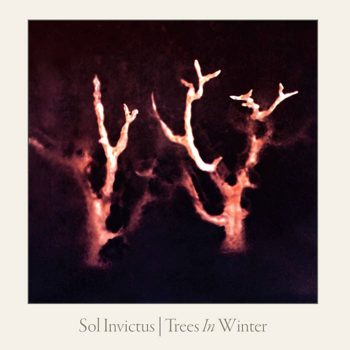 Trees in Winter