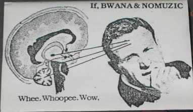 Whee. Whoopee. Wow,