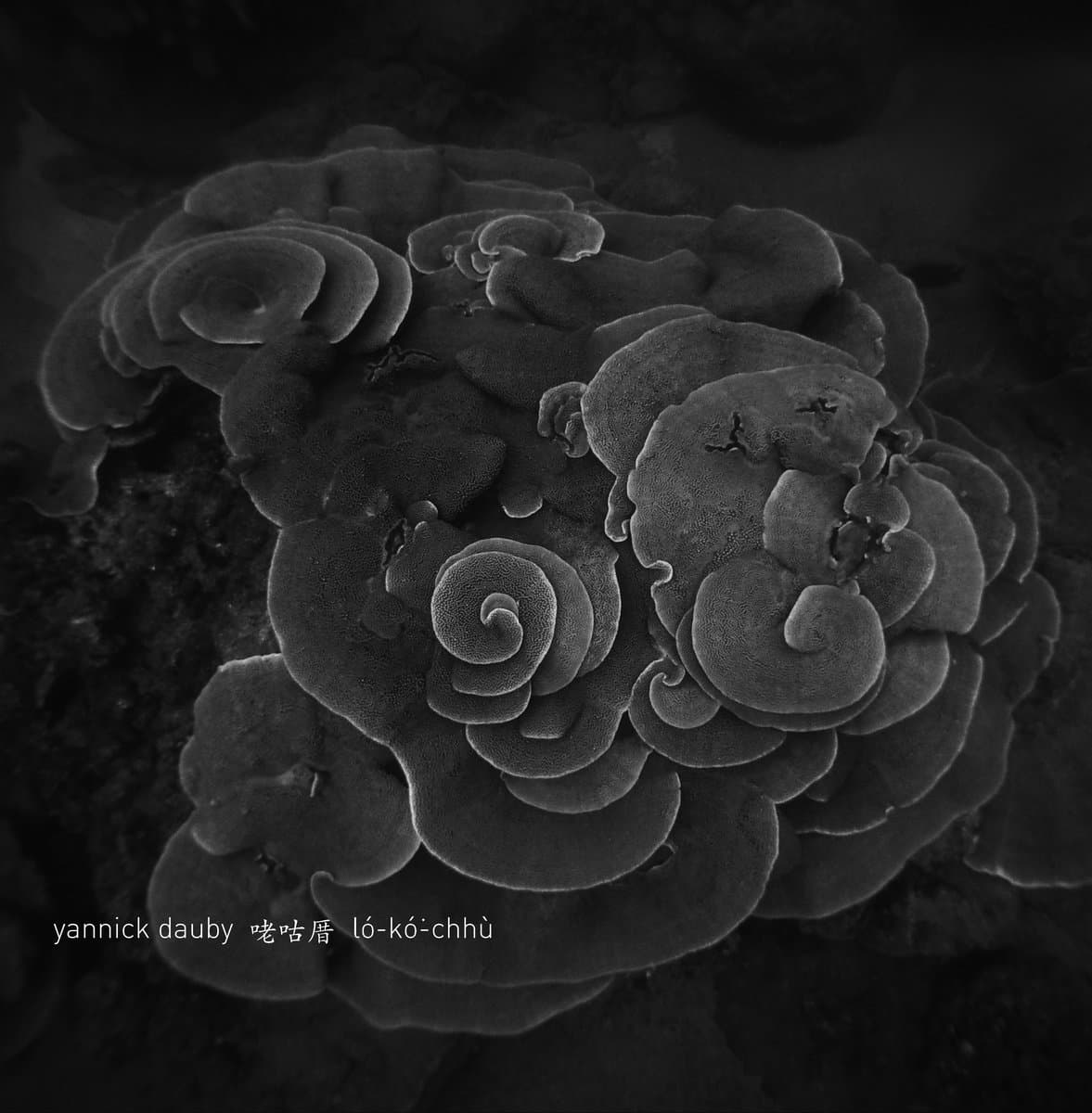 咾咕厝 ló-kó͘-chhù - Penghu Experimental Sound Studio Vol.2