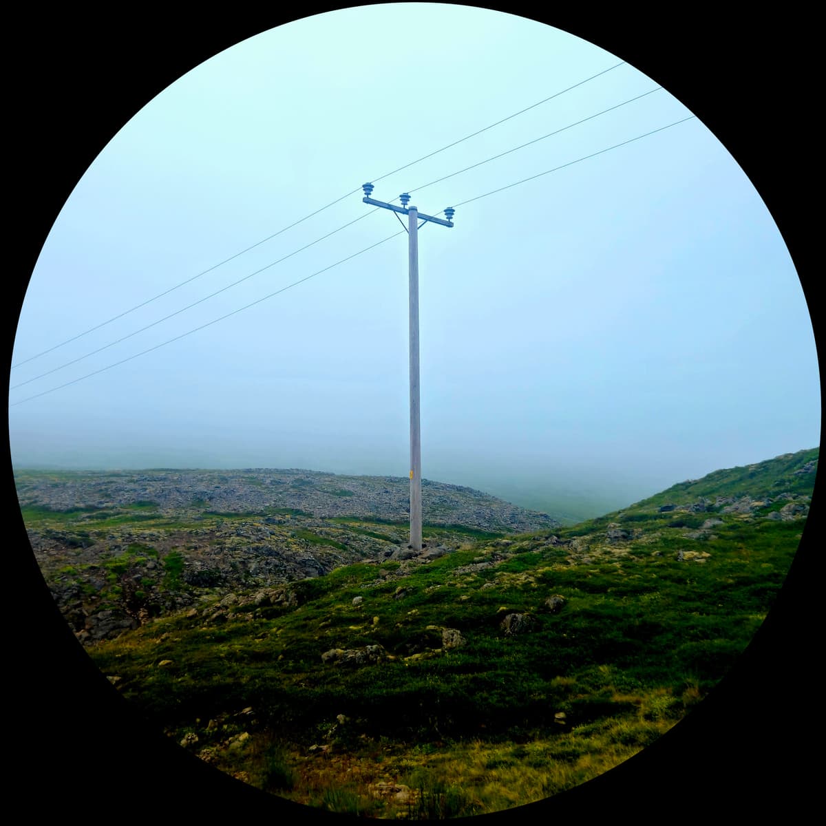 HOLRÆSI