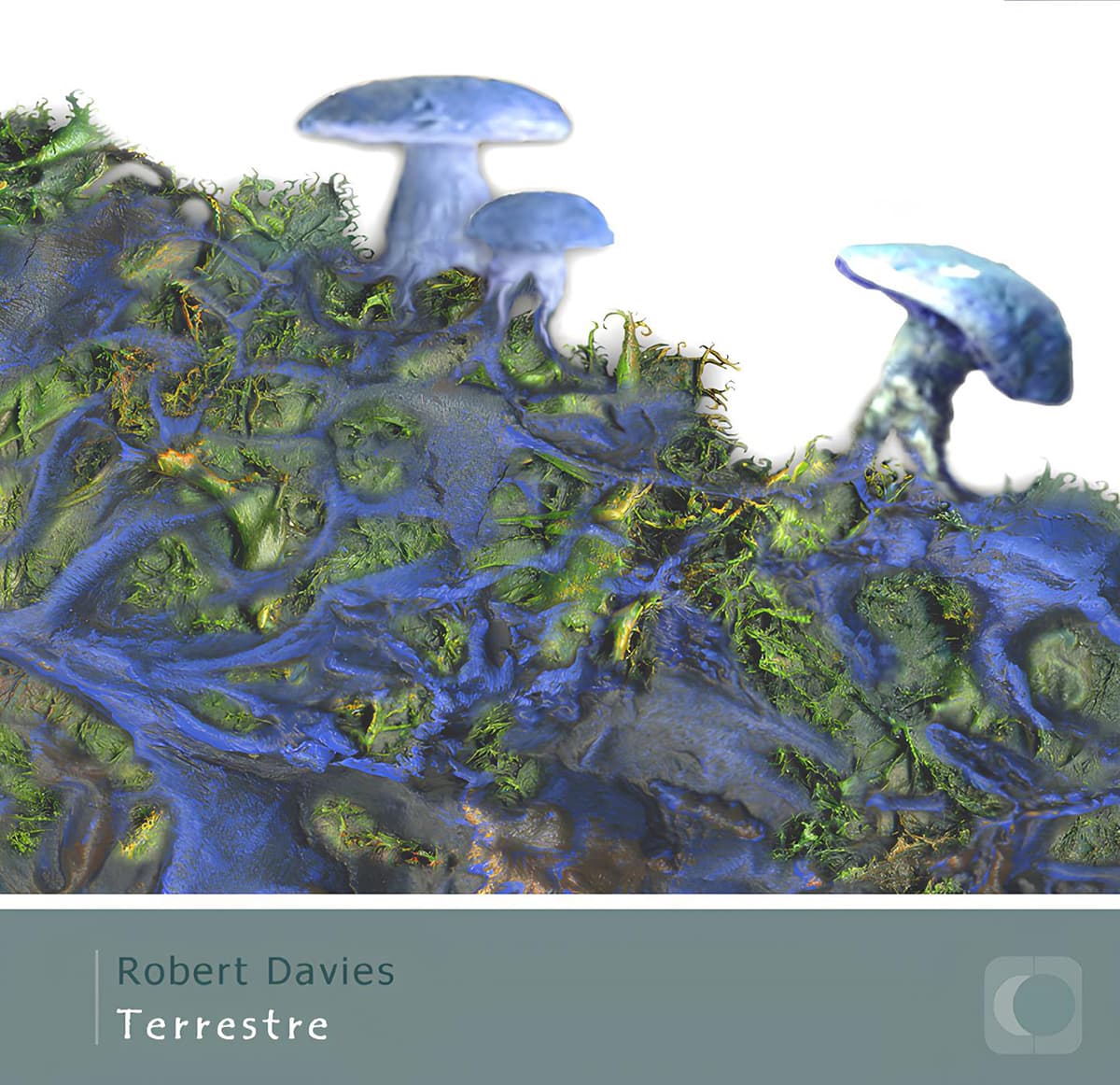 Terrestre