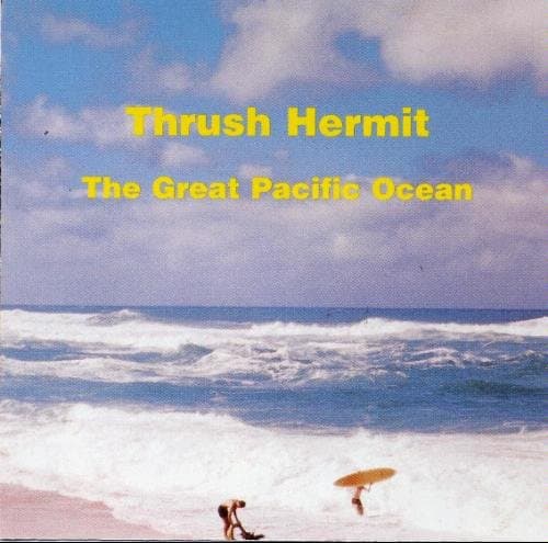 The Great Pacific Ocean