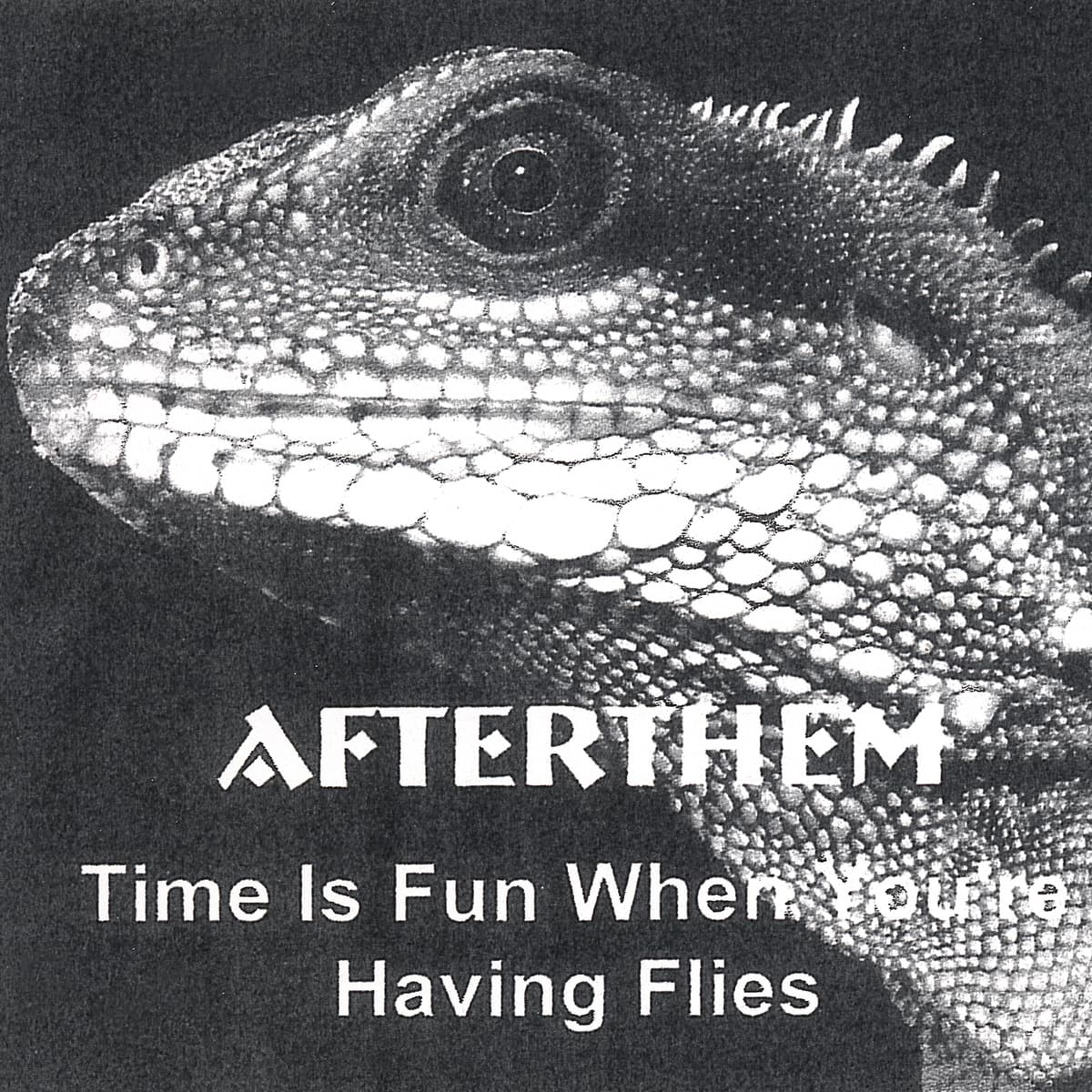 Time Is Fun When You're Having Flies