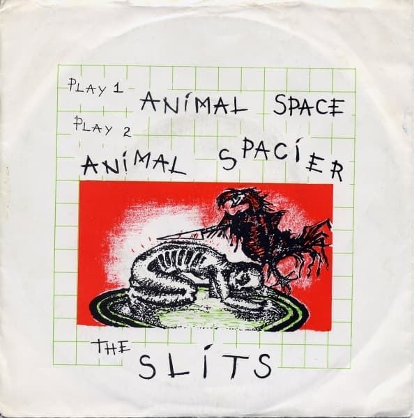 Animal Space